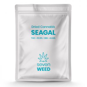 Seagal